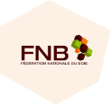 FNB logo
